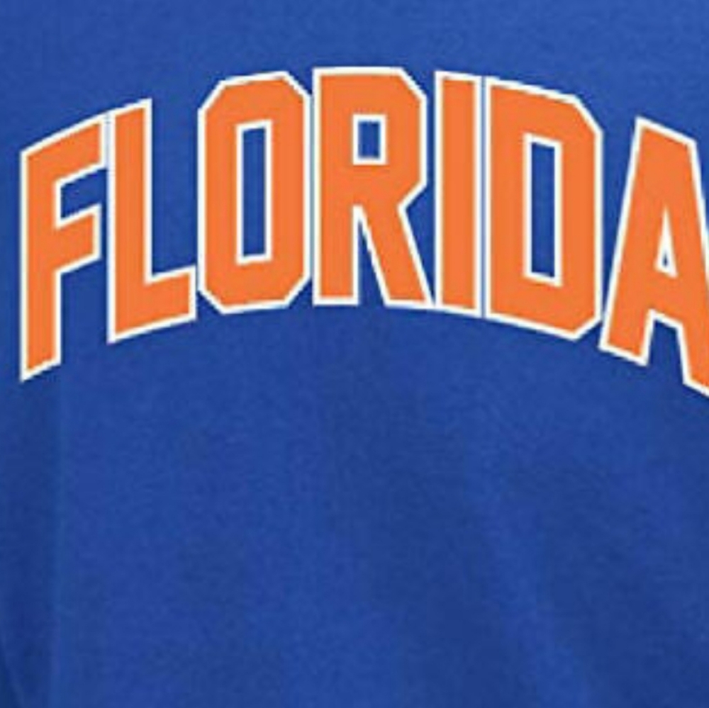 Florida Hoodie - Picture 2 of 3